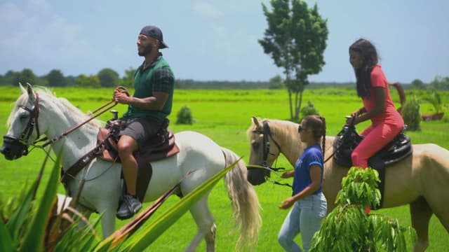 S14:E06 - Dark Side of the Honeymoon