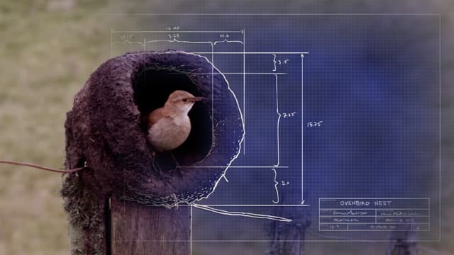 S01:E01 - The Nest