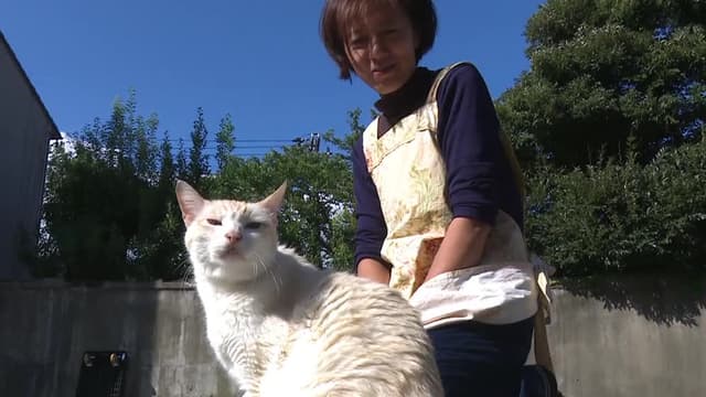 S02:E09 - Kanazawa Cats 3