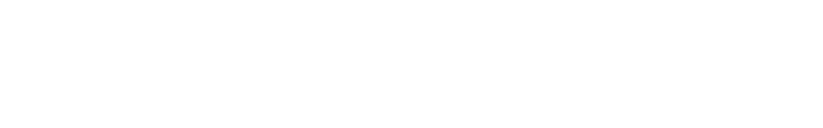 The Great Raid