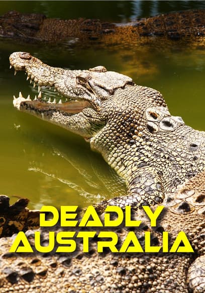 Deadly Australia poster