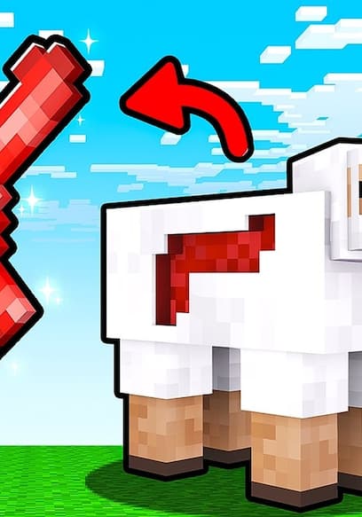 S21:E04 - I Made Everything a Gun in Minecraft poster