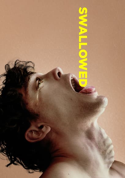 Swallowed poster