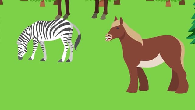 S01:E09 - Why Don't We Ride Zebras? / Why Does Your Dog Do This?