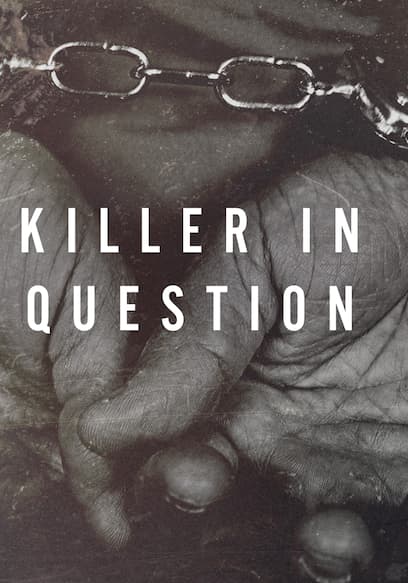 Killer in Question