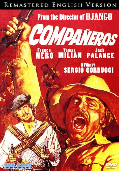 Compañeros (English Version)