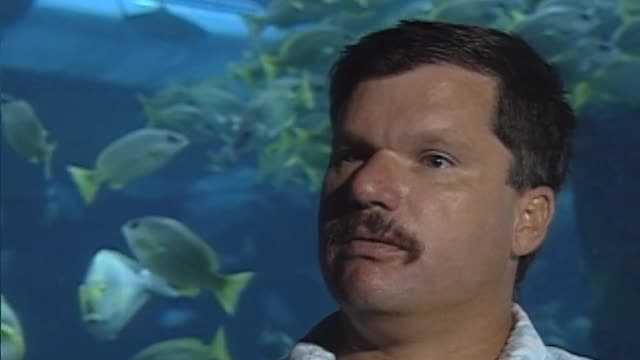 S01:E12 - Shark Shooters