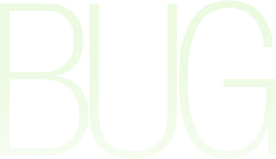 Bug