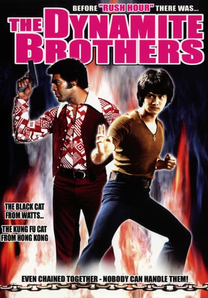 The Dynamite Brothers poster