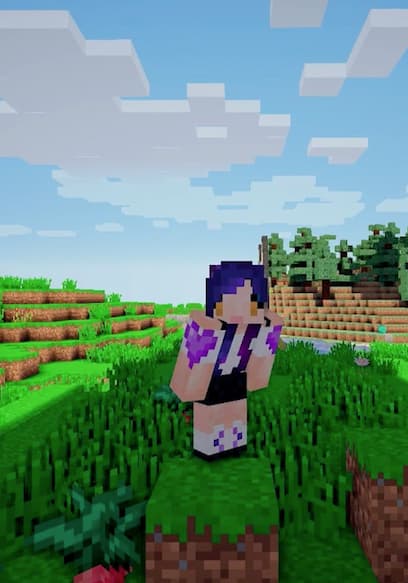 Affiche de S01:E03 - Crescent Moon House Tour & My Chocobo!