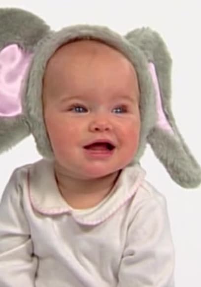 S01:E05 - Baby Noah: Animal Expedition poster