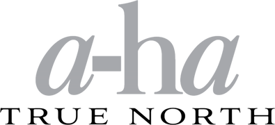 a-ha: True North