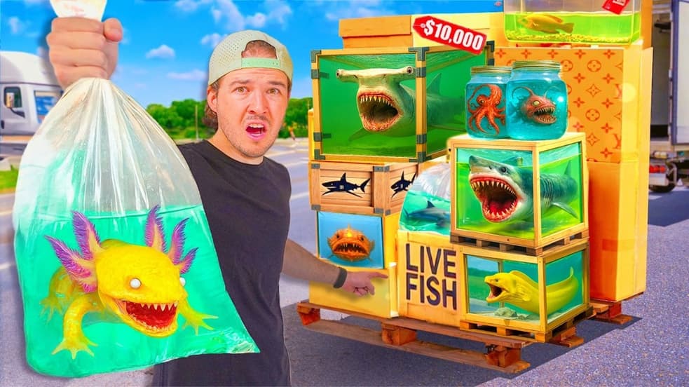 Watch The Fish Guys S03:E06 - $1 vs $10,000 Live Fish Mystery Box ...