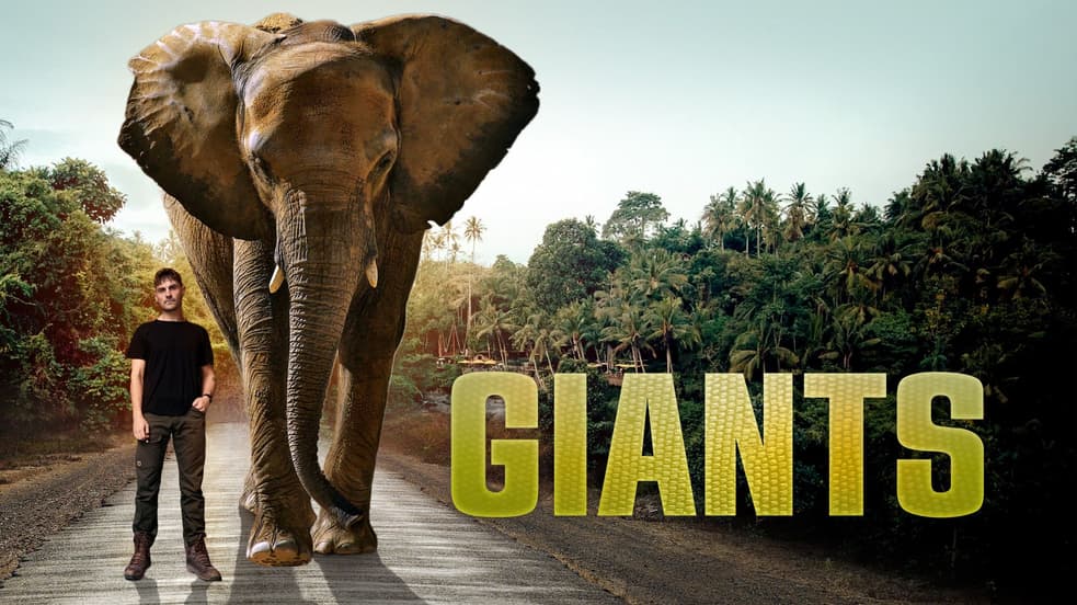 Watch Giants Streaming Online | Tubi Free TV