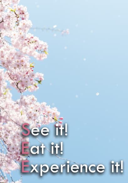 S01:E06 - Art of Japan: Castle and Sake