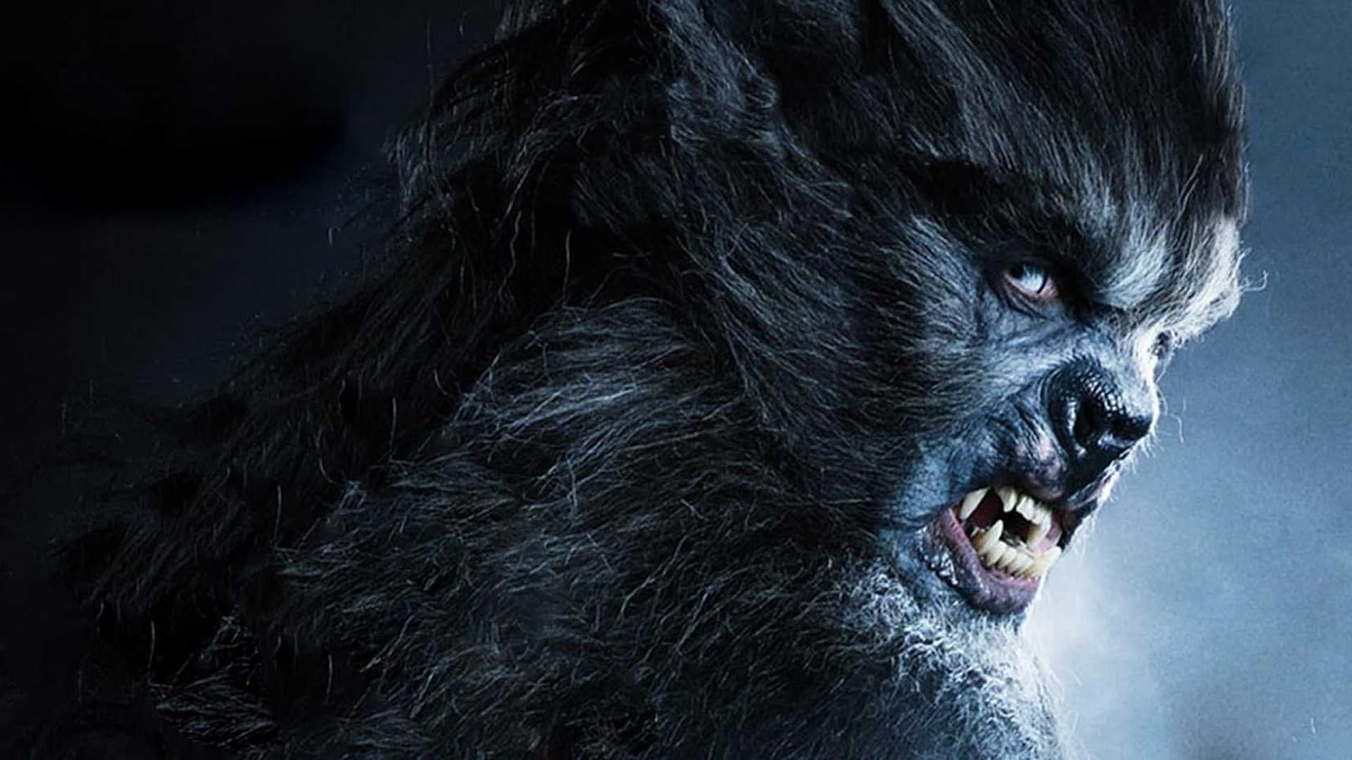 Watch Wolves (2014) - Free Movies | Tubi
