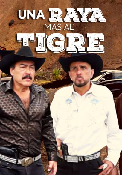 Una raya más al tigre