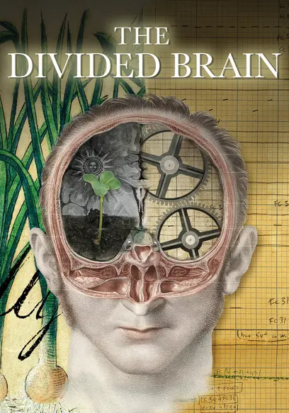 The Divided Brain