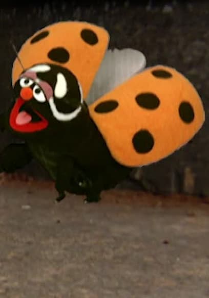 S36:E26 - Adventures of Little Big Bird, Part 2 poster