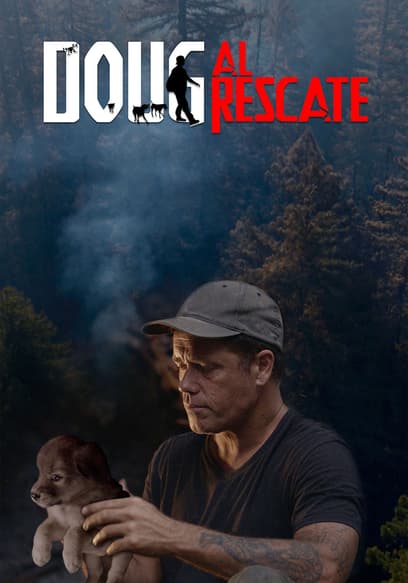 S01:E04 - Los gatos del incendio en Oregon