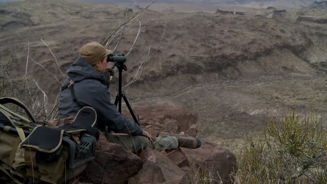 S01:E08 - Canyon Bottoms and Cookouts: Texas Javelina