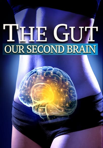 The Gut: Our Second Brain