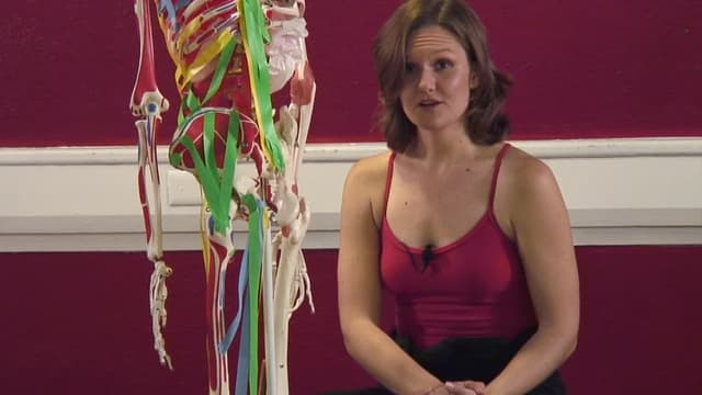 S01:E08 - Knockout Knees