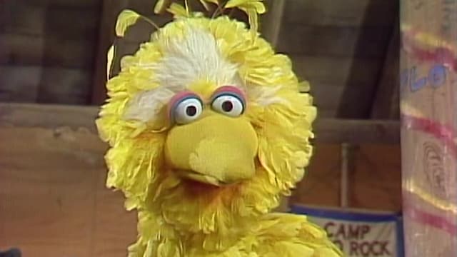 S14:E02 - Big Bird's First Day at Camp