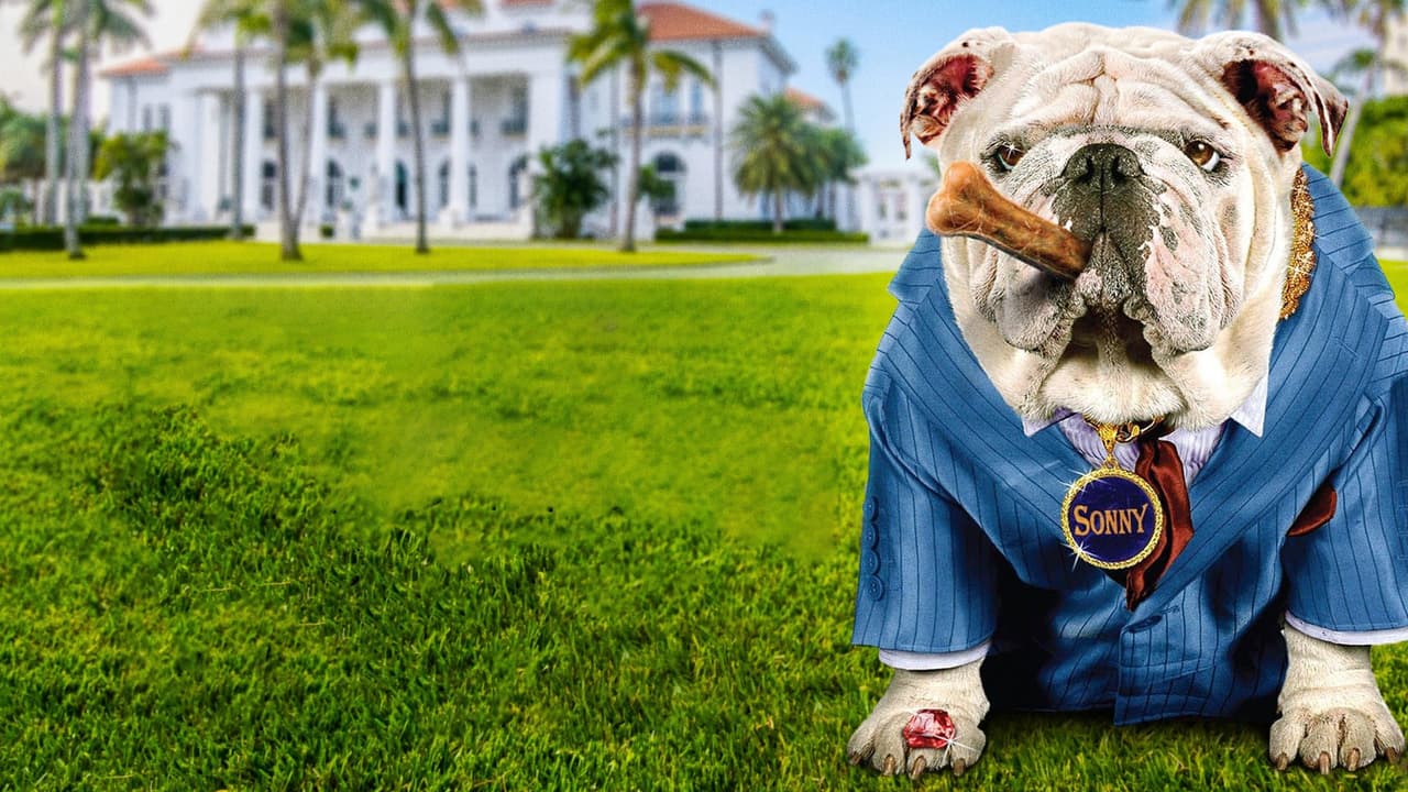 Watch The Dogfather