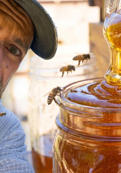 S01:E10 - The Bees Swarmed Our Flow Hive Honey Harvest poster