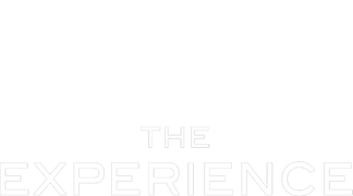 The Experience