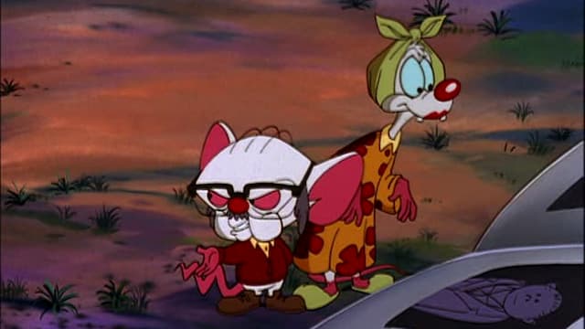 S03:E05 - My Feldmans, My Friends