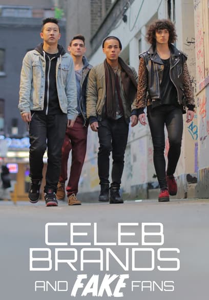 Celeb Brands and Fake Fans