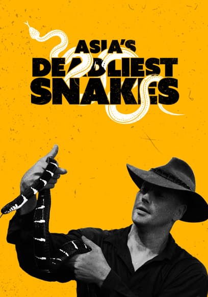 S01:E01 - Asia's Deadliest Snakes