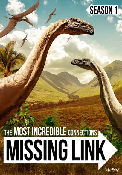 S01:E01 - Missing Link