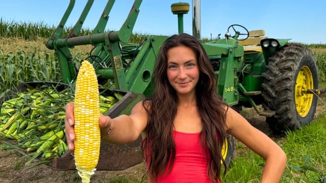S01:E12 - My Year-Long Journey Growing Sweet Corn With Old Tractors