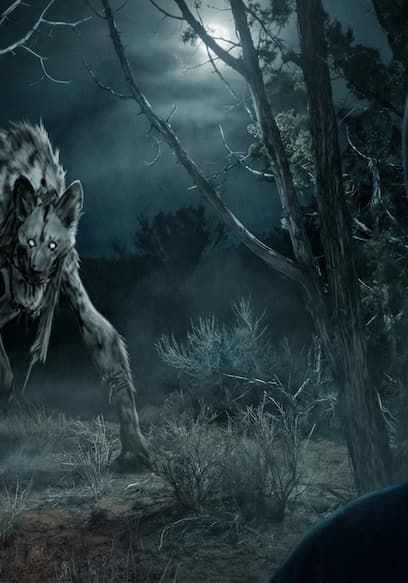 S01:E09 - The Night We Caught a Skinwalker poster