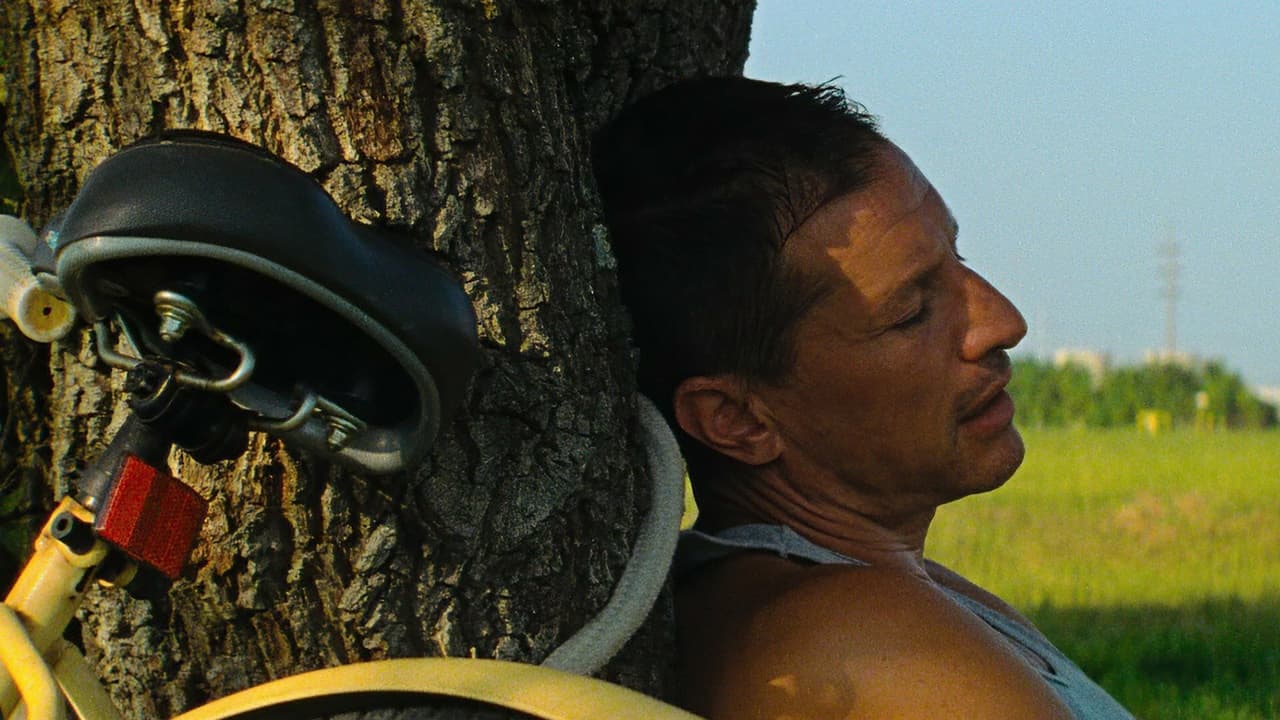 Watch Red Rocket
