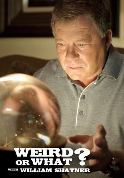 Weird or What? poster