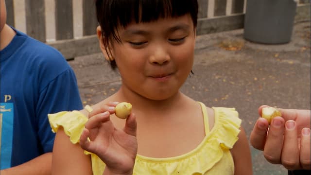 S05:E04 - Saving Cities