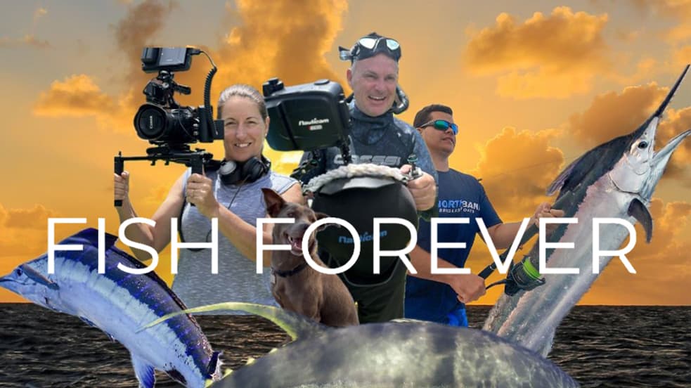 Watch Fish Forever Streaming Online | Tubi Free TV