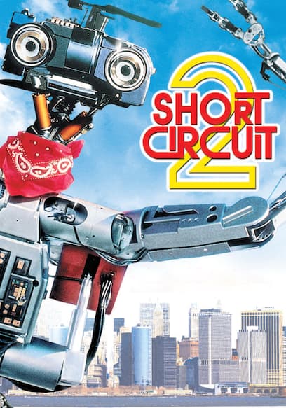 Short Circuit 2