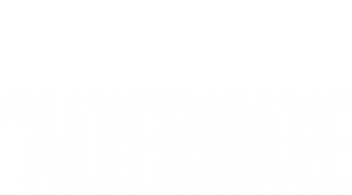 The Alternate