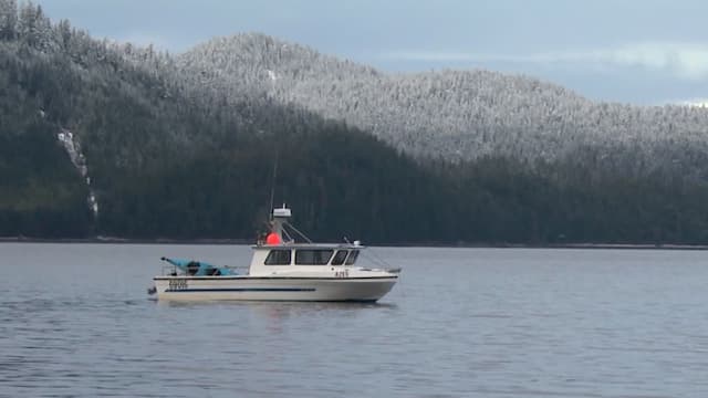 S01:E02 - Alaska Sea Creatures