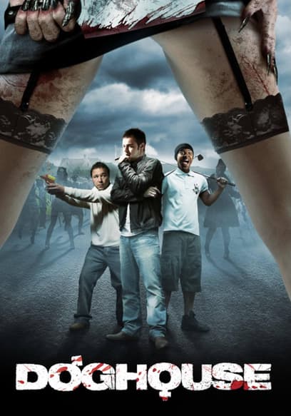 Doghouse poster