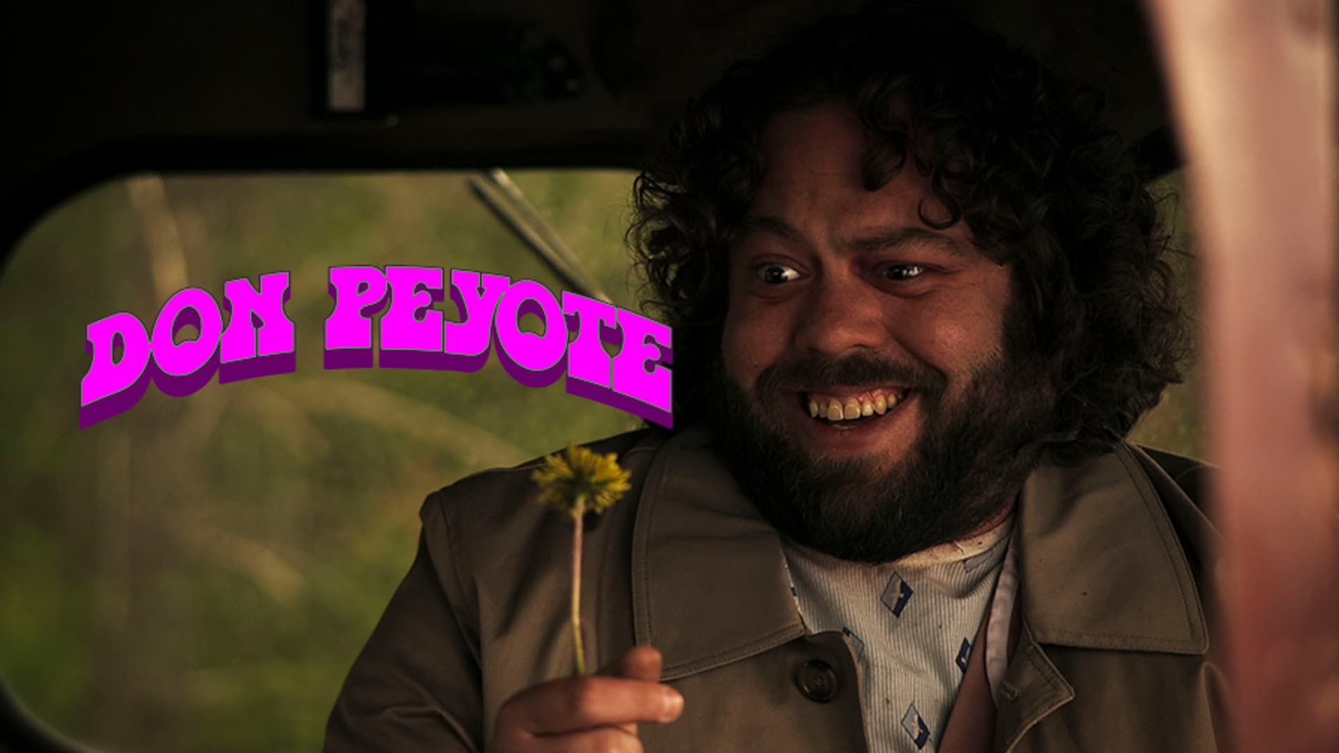 Don Peyote (2014) poster