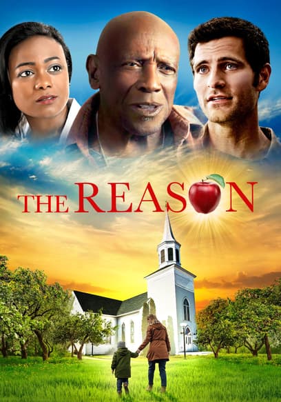 The Reason