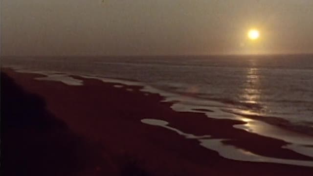 S01:E05 - Sable and the South Shore