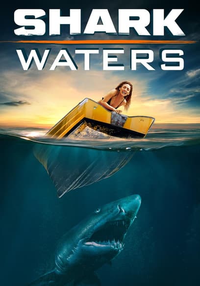 Shark Waters