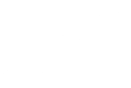 Wildcat